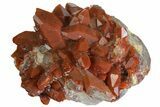 Sparkly, Red Quartz Crystal Cluster - Morocco #173915-1